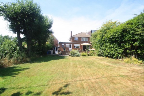 rear garden c.JPG