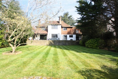 75 Shepherds  rear elevation (2).JPG