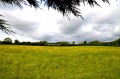 Main Street, Beachampton, Milton Keynes - Thumbnail 17