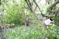 Fern Grove, Bletchley, Milton Keynes - Thumbnail 2