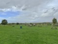 Fronting Stanton Low Park