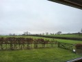 View from Bedroom 2.jpg