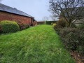 Rear garden.jpg