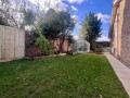 IMG_7955.jpeg