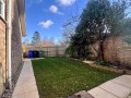 IMG_7947.jpeg