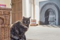 DSC03085.jpg