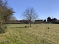Overlooking Village Green
