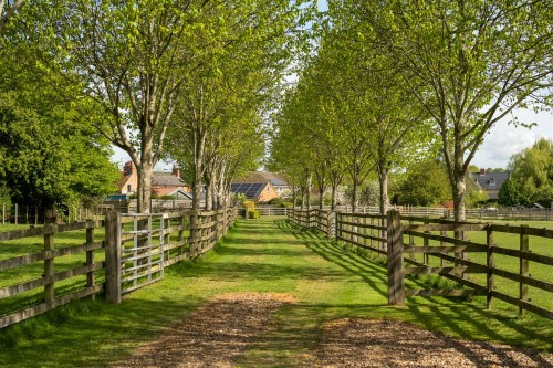 Driveway