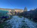 Garden 2.jpg