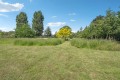 DSC04980.jpg