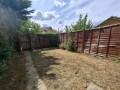 Garden.jpg