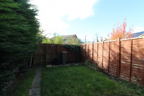 Garden.JPG