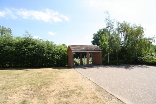 Bike Shed