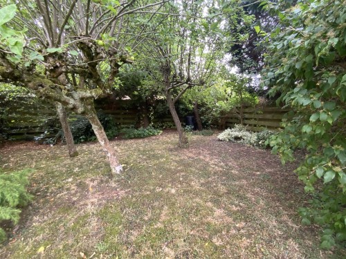 Small Orchard Area