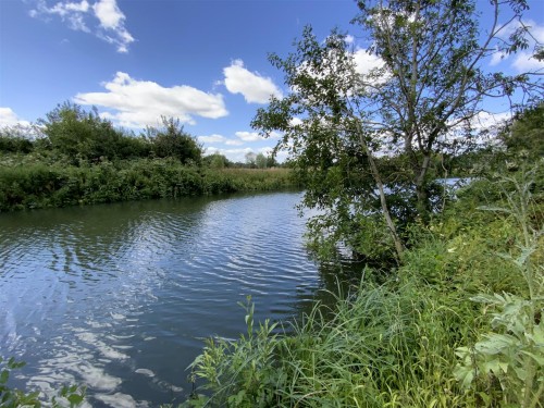 Adjacent to Rive