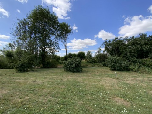 Summer View Summer View