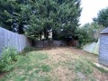 IMG_0556.jpeg