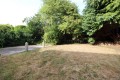 Garden.JPG