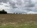 Westfield Avenue, Deanshanger, Milton Keynes - Thumbnail 9