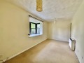 Tatling Grove, Walnut Tree - Thumbnail 2