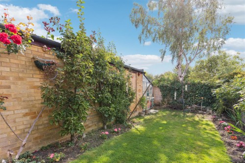 DSC09775-b314fb23dba3d39d021f603e9748d09d.jpg DSC09775-b314fb23dba3d39d021f603e9748d09d.jpg