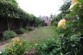 Garden.JPG