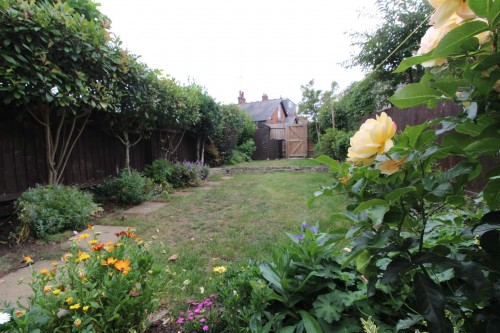 Garden.JPG