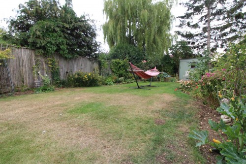Garden.JPG
