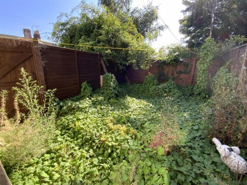 Currently overgrown Currently overgrown