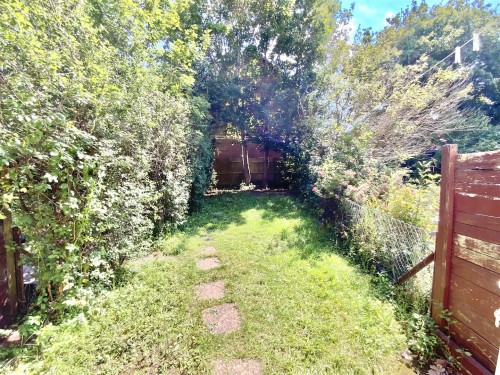 IMG_6301.jpeg IMG_6301.jpeg