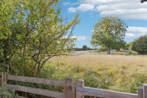 DSC05380-5ed3305c42fbb60a72d1d1bd1bb2df23.jpg DSC05380-5ed3305c42fbb60a72d1d1bd1bb2df23.jpg