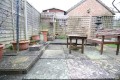 5 Lime rear garden 2.JPG