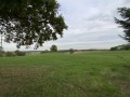 Countryside Views