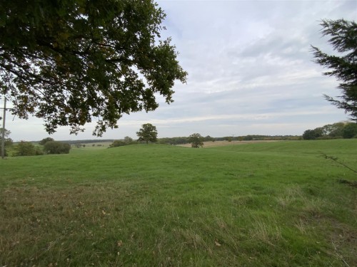 Countryside Views