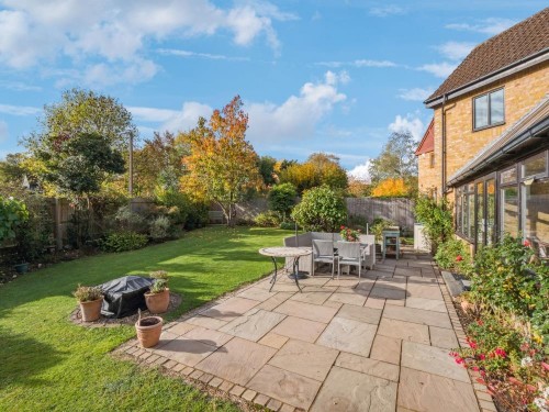 P1013220-425372e76cb533b198d23aa1bd597fa6 - 800px.