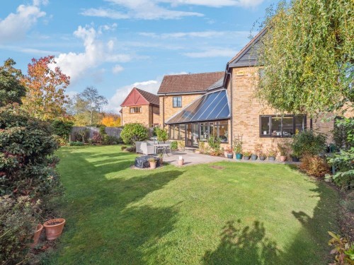 P1013223-9c02a2a03fc51ba068899289825b1651 - 800px.