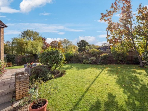 P1013231-9bbfbc4aa61d612c4cf0be025c109991 - 800px.