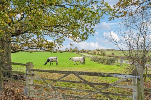 DSC06818-cfec73346c6c5b5c38f1c9e99bb7850d - 800px. DSC06818-cfec73346c6c5b5c38f1c9e99bb7850d - 800px.