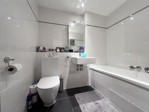 IMG_9775.jpeg IMG_9775.jpeg