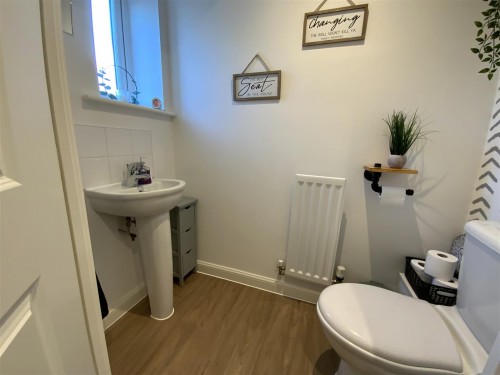 IMG_1777.jpeg IMG_1777.jpeg