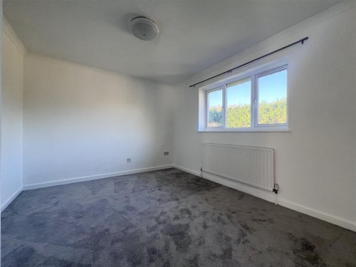 IMG_0090.jpeg IMG_0090.jpeg