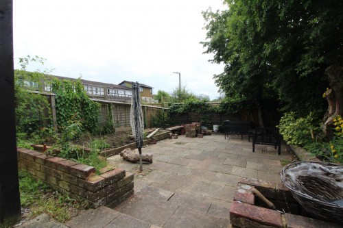 Garden.JPG