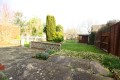 rear garden 2.JPG rear garden 2.JPG