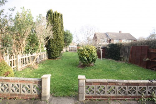 rear garden 3.JPG rear garden 3.JPG