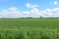 View of fields behind .JPG