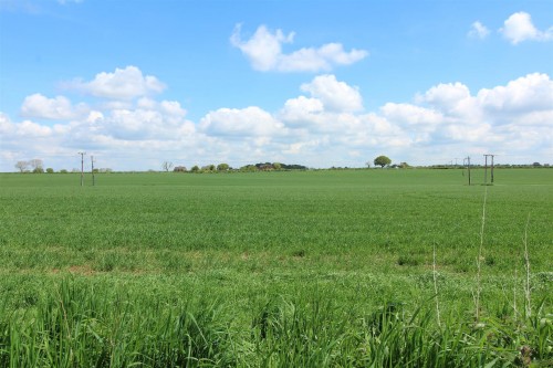 View of fields behind .JPG