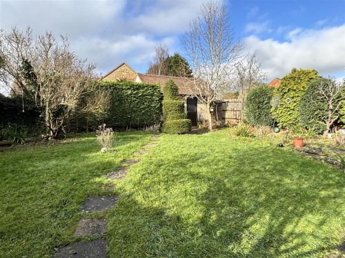 IMG_1558.jpeg IMG_1558.jpeg