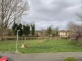 View to Front