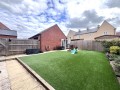 IMG_1386.jpeg IMG_1386.jpeg