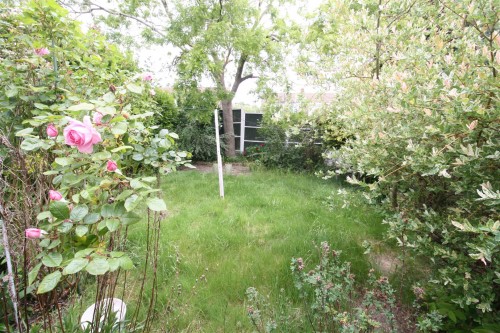 63 Shelley rear garden.JPG